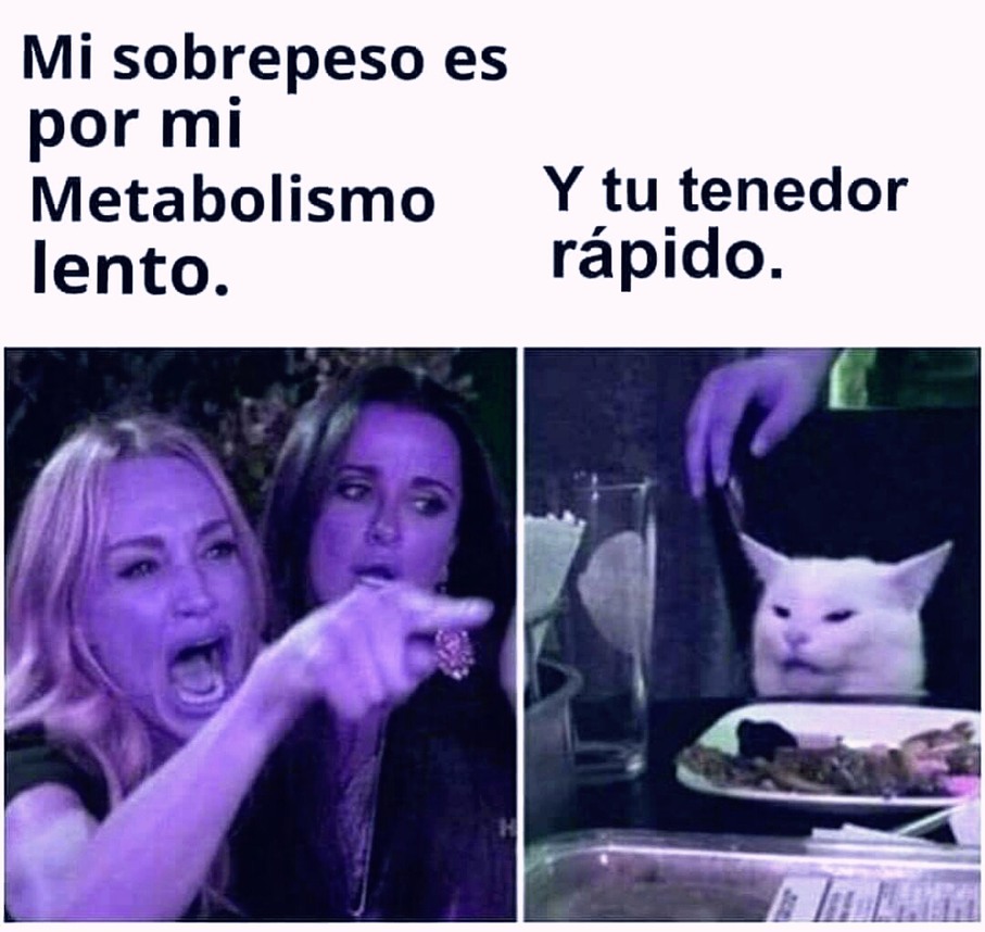memes de gordos