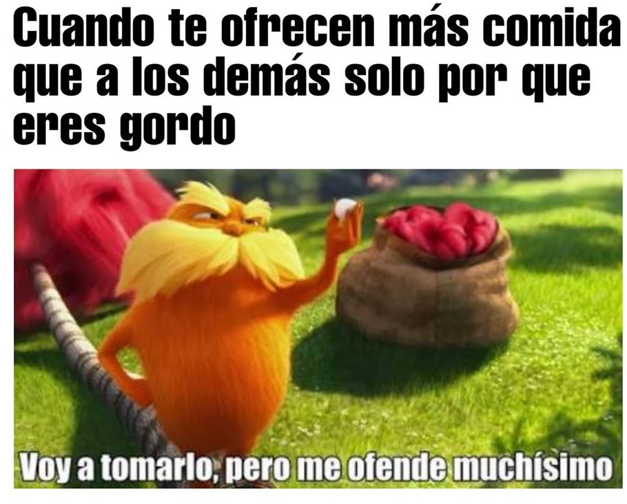 memes de gordos