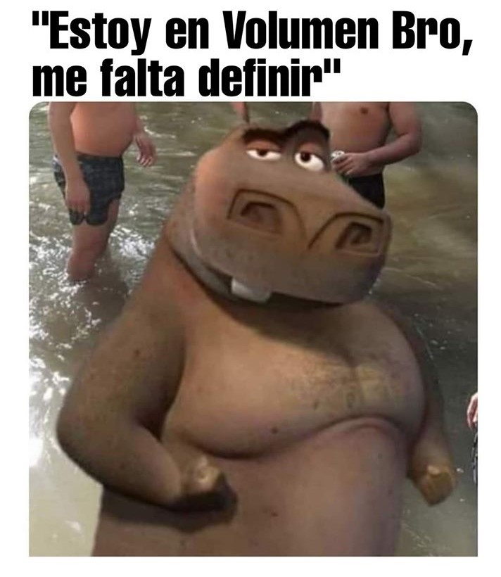 memes de gordos